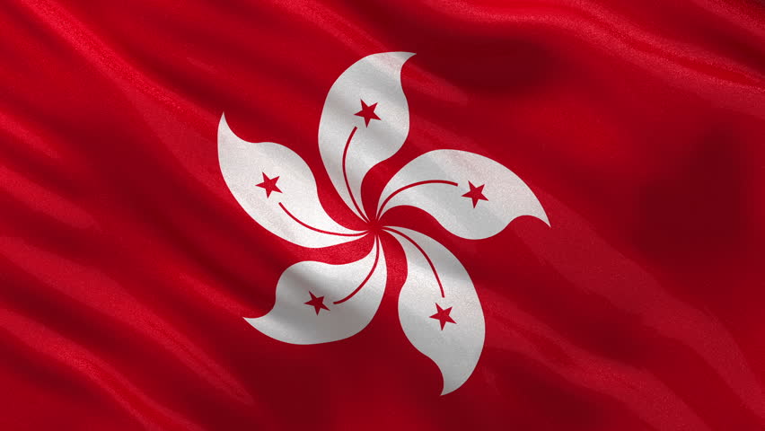 FLAG, Hong Kong - Synthetic 120 x 190cm 